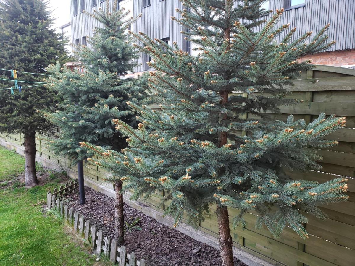 Apartament Aga13 Mikołajki Eksteriør bilde